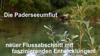 Wir suchen Mitarbeiter